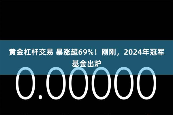 黄金杠杆交易 暴涨超69%！刚刚，2024年冠军基金出炉