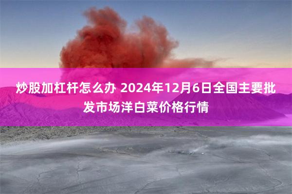 炒股加杠杆怎么办 2024年12月6日全国主要批发市场洋白菜价格行情