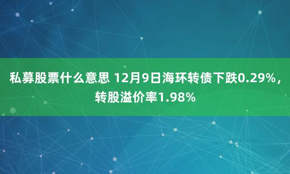 私募股票什么意思 12月9日海环转债下跌0.29%，转股溢价率1.98%