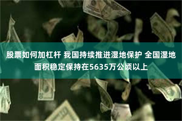 股票如何加杠杆 我国持续推进湿地保护 全国湿地面积稳定保持在5635万公顷以上