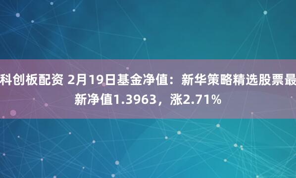 科创板配资 2月19日基金净值：新华策略精选股票最新净值1.3963，涨2.71%