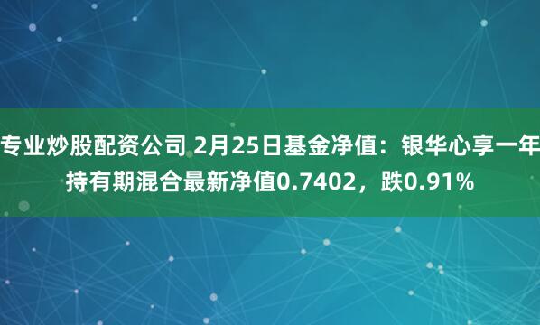 专业炒股配资公司 2月25日基金净值：银华心享一年持有期混合最新净值0.7402，跌0.91%